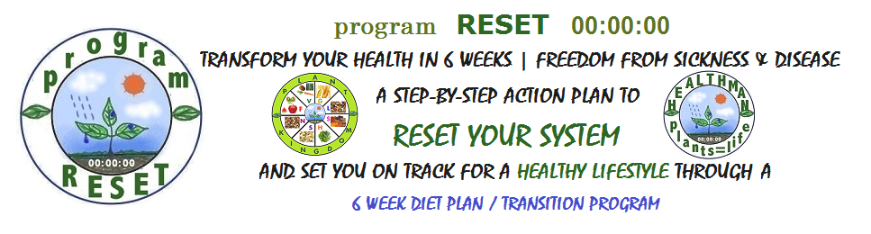 PROGRAM RESET