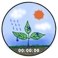 Mother Nature