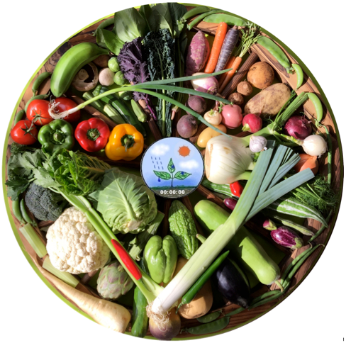 PlantKingdom_Vegetables