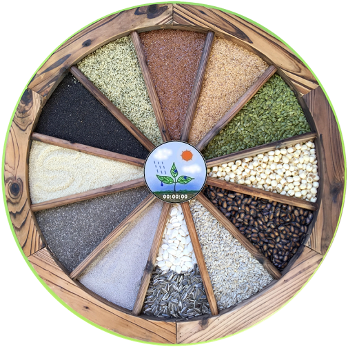 Plant Kingdom - Seeds